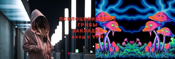 спиды Арсеньев