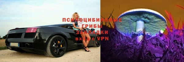 ГАЛЛЮЦИНОГЕННЫЕ ГРИБЫ Армянск