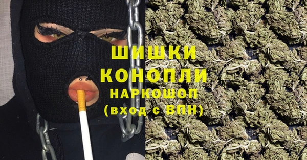 спиды Арсеньев