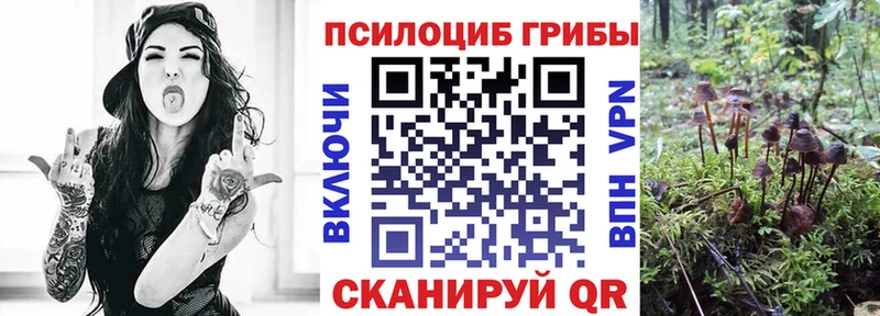 МЕГА ССЫЛКА  купить наркоту  Боровск  Псилоцибиновые грибы Psilocybine cubensis 